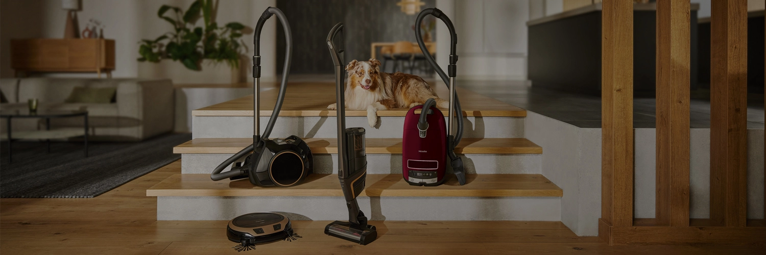 Miele vacuum cleaners displayed on a staircase with a dog