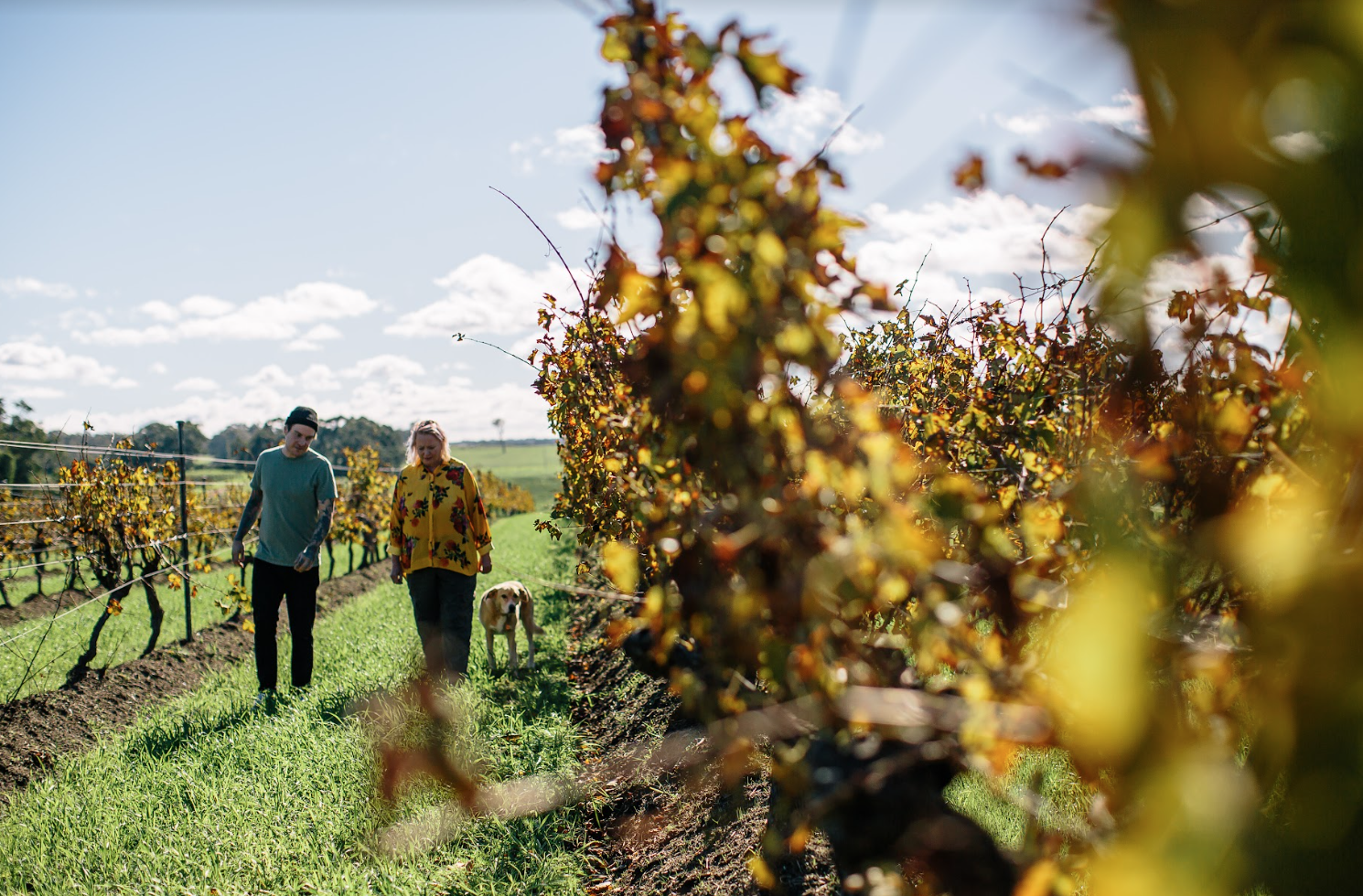 Make your next drop an organic one with sustainable agriculture from Margaret River