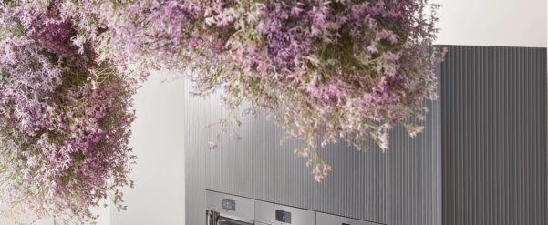 Miele smart ovens