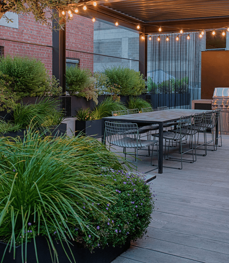 How to Create The Ultimate Edible Garden at Home